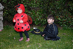 Fête de la Saint Blaise à Valbonne en 2008