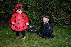 Fête de la Saint Blaise à Valbonne en 2008