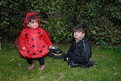 Fête de la Saint Blaise à Valbonne en 2008