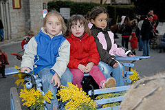 Fête de la Saint Blaise à Valbonne en 2008
