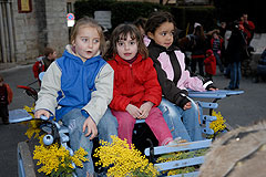 Fête de la Saint Blaise à Valbonne en 2008