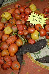 Fête de la Saint Blaise à Valbonne en 2008