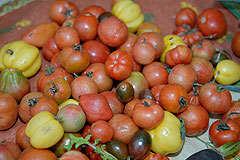 Fête de la Saint Blaise à Valbonne en 2008