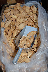 Fête de la Saint Blaise à Valbonne en 2008