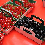 La Source aux Fruits