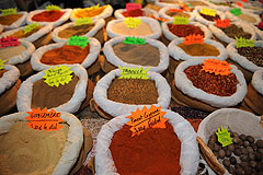 Le Palais au 1001 Epices lors des MIN en Fête à Nice en 2009