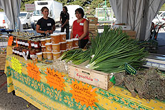 Les Vergers d’Entrevaux