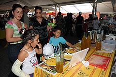 Oliveraie de la Sirole d’André Giauffret