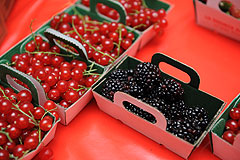 La Source aux Fruits au MIN EN FÊTE de Nice en 2009