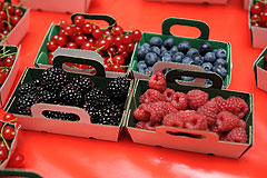 La Source aux Fruits au MIN EN FÊTE de Nice en 2009