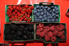 La Source aux Fruits au MIN EN FÊTE de Nice en 2009