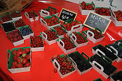 La Source aux Fruits au MIN EN FÊTE de Nice en 2009