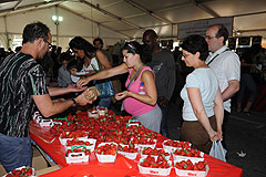 La Source aux Fruits au MIN EN FÊTE de Nice en 2009