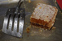 Sébastien Sanieres, miel des Alpes Maritimes