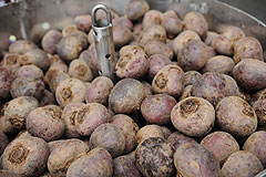 Betteraves de Provence