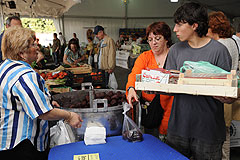 Betteraves de Provence