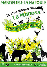 Fête du Mimosa de Mandelieu