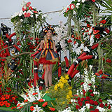 Carnaval de Nice 2008 : bataille de fleurs